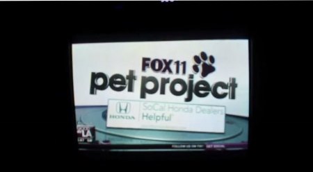Pet.project.logo (2) (450x248)