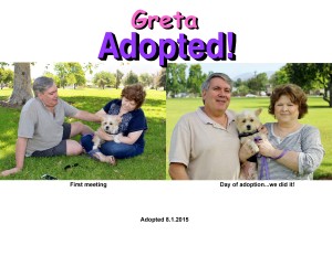 greta.adoption.NIKA